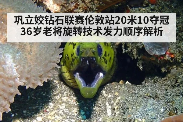 巩立姣钻石联赛伦敦站20米10夺冠 36岁老将旋转技术发力顺序解析